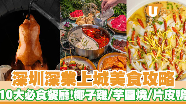 深圳美食攻略｜深業上城10大必食美食餐廳！人氣椰子雞／手工芋圓燒／正宗片皮鴨／抵食和牛放題