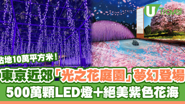 東京足利花卉公園「光之花庭園」夢幻登場！500萬顆LED燈+絕美紫色花海 打卡必去