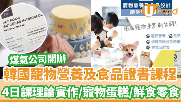 煤氣公司開辦韓國寵物營養及食品證書課程　4日課理論實作考試！寵物蛋糕烘焙／鮮食零食