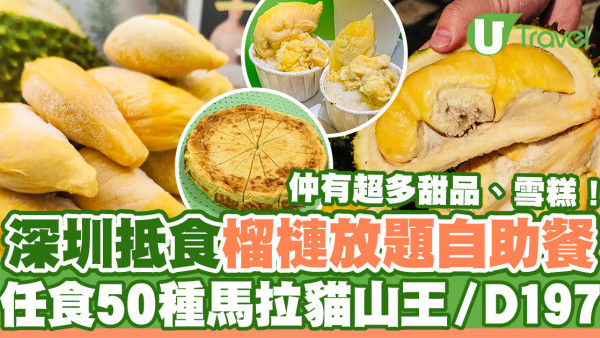 深圳美食｜深圳抵食榴槤放題自助餐  任食馬拉貓山王／D197榴槤甜品