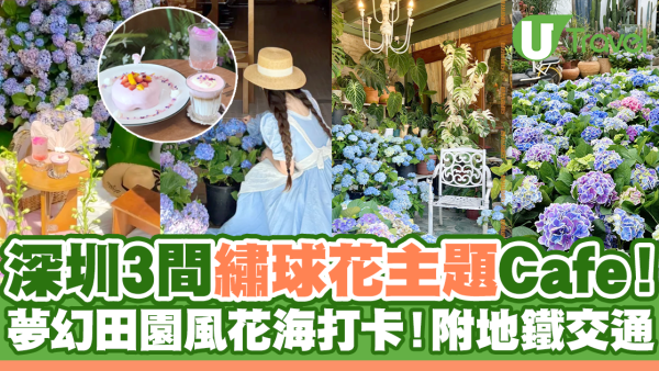 深圳3間繡球花主題Cafe推薦！夢幻田園風花海打卡！