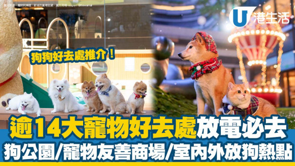 狗狗好去處推介｜香港寵物好去處！狗公園/寵物友善商場/室內外放狗熱點