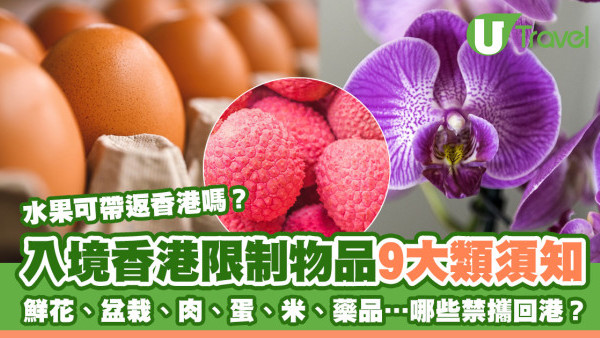 外遊注意｜入境香港限制物品！受管制植物鮮花/食物等禁攜返港！水果可帶入香港？
