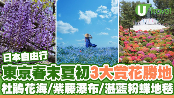 東京春末夏初3大賞花勝地！「東京新百景」杜鵑花海/紫藤瀑布/湛藍粉蝶地毯