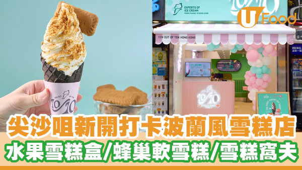 尖沙咀新開打卡波蘭風雪糕店！特色水果雪糕盒／蜂巢軟雪糕／雪糕窩夫