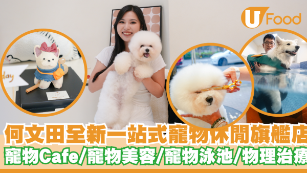 何文田全新一站式寵物休閒旗艦店開幕！集齊寵物Cafe／寵物美容／寵物泳池／物理治療／寵物酒店