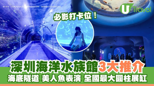深圳水族館推介｜小梅沙、觀瀾海洋世界 60米海底隧道穿梭睇美人魚表演