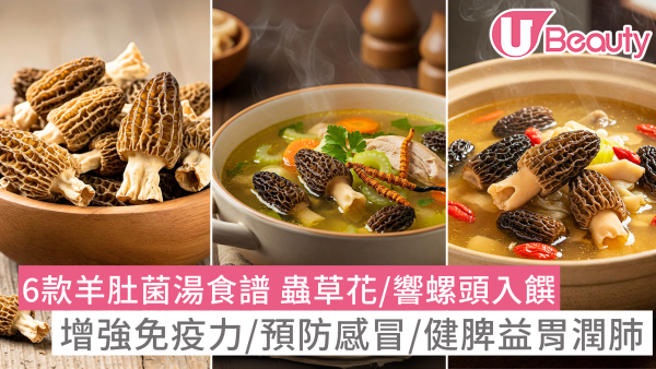 【羊肚菌湯功效】推介6款羊肚菌湯水食譜做法 蟲草花響螺頭入饌健脾益胃