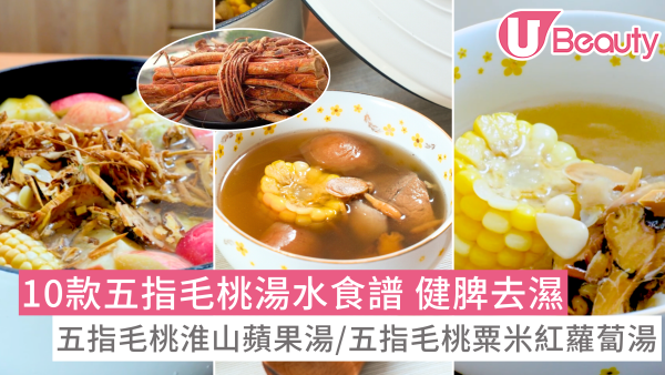 【五指毛桃湯水食譜】10款做法推介如何揀五指毛桃？宜忌功效去濕健脾益氣安神