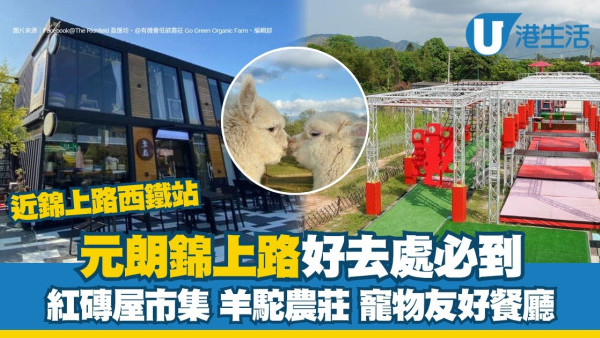 錦上路好去處｜一日遊近錦上路站好玩地方 紅磚屋市集/菠蘿園餵羊駝/寵物友好餐廳