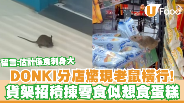 DONKI分店驚現老鼠橫行！貨架揀零食似想食蛋糕／留言：估計係食刺身大