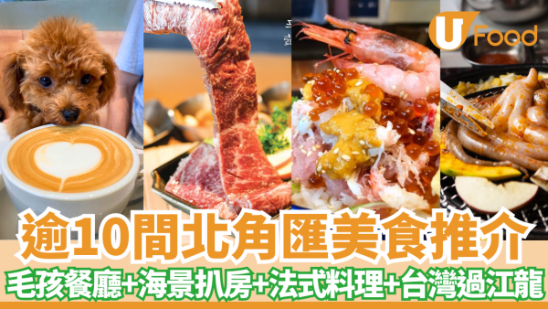 北角匯餐廳美食逾10間推介 海景法國菜+居酒屋海鮮+寵物友善店狗狗美食