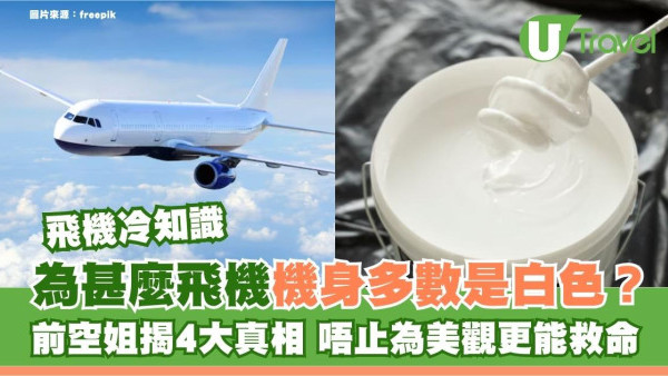 旅遊冷知識｜為甚麼飛機機身多數是白色？前空姐揭4大真相 不止為美觀更能救命