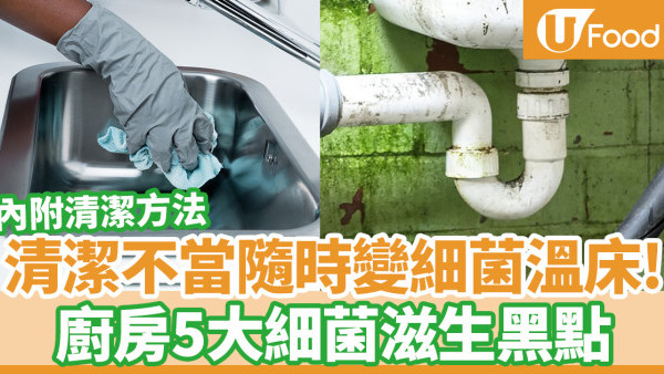 廚房隨時比廁所更污糟！　6個廚房最容易滋生細菌地方（附清潔方法）