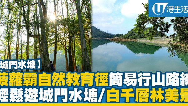 【城門水塘】簡易城門水塘行山路線 輕鬆遊城門水塘/白千層林美景