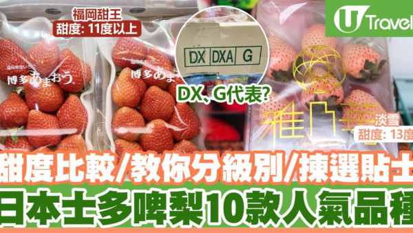 10款人氣日本士多啤梨品種、甜度、級別比較｜揀靚士多啤梨方法