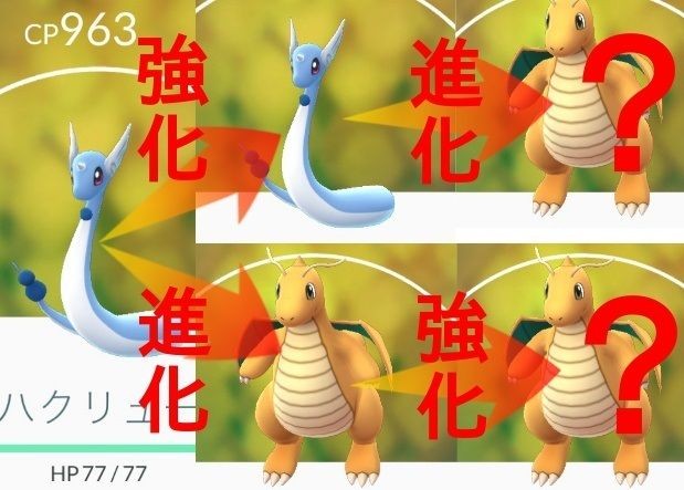 進化先定強化先 網民用2條哈古龍實測結果 港生活 尋找香港好去處