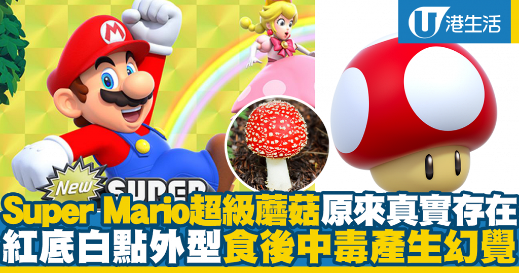 《Super Mario》超級蘑菇原來真實存在!紅底白點外型食後中毒產生幻覺 | UHK 港生活