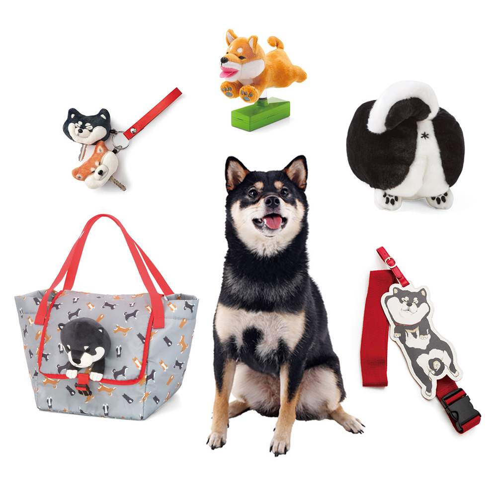 可愛又實用！ 粉絲必買一套六款柴犬主題雜貨| U Travel