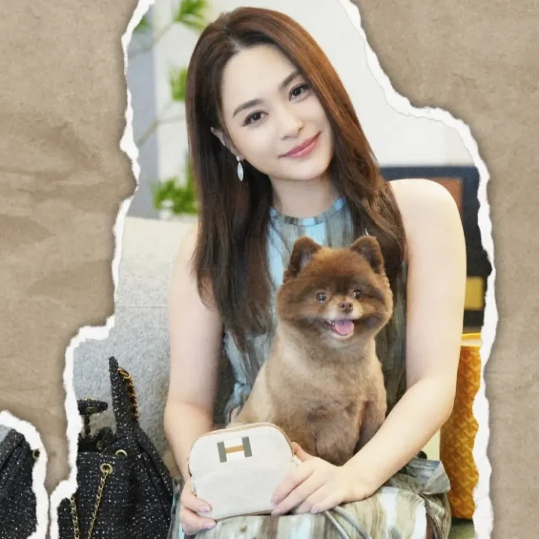 阿嬌曬愛馬仕、CHANEL手袋內平價好物！愛犬用LV、Goyard等名牌震驚網民