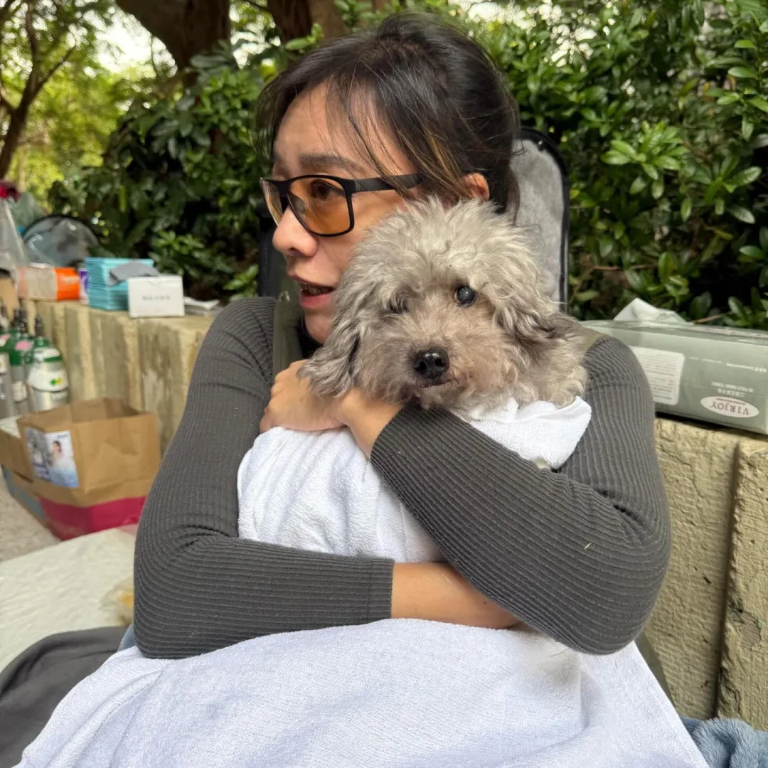 大埔宏福苑火災丨郭秀雲親赴大埔宏福苑！火災現場坐地緊抱受驚小狗 ！善心舉動曝光獲災民發文致謝！