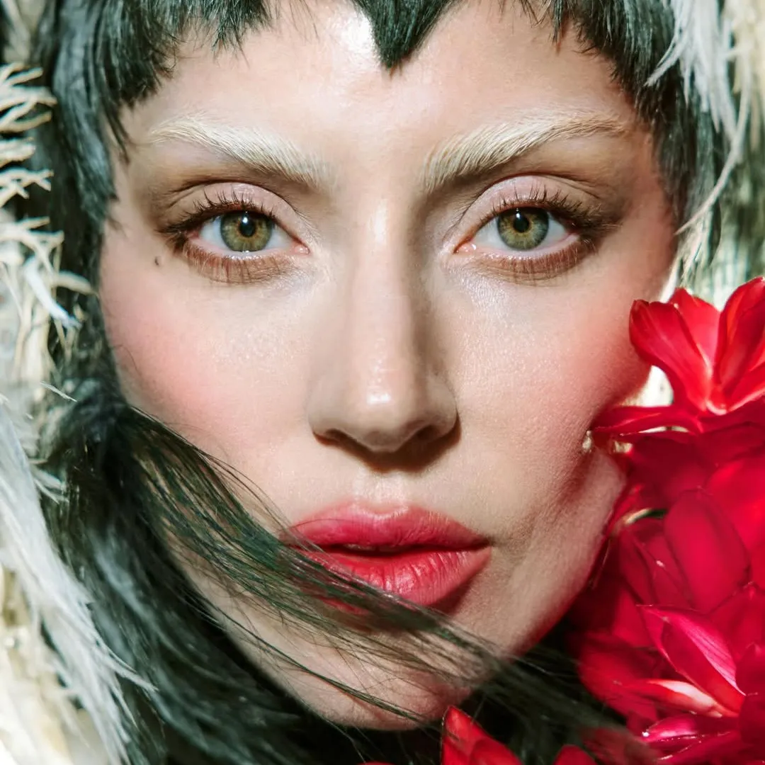 Lady Gaga巡演舞者滑倒墮台兩度中斷演出！一窩心舉動獲封「最暖天后」！