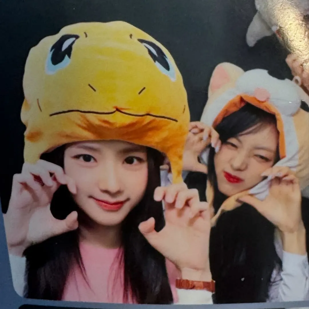 盤點8對高顏值「韓星親姐妹」！Jisoo姐姐激似韓孝周！張員瑛家姐獲讚「天生演員臉」！