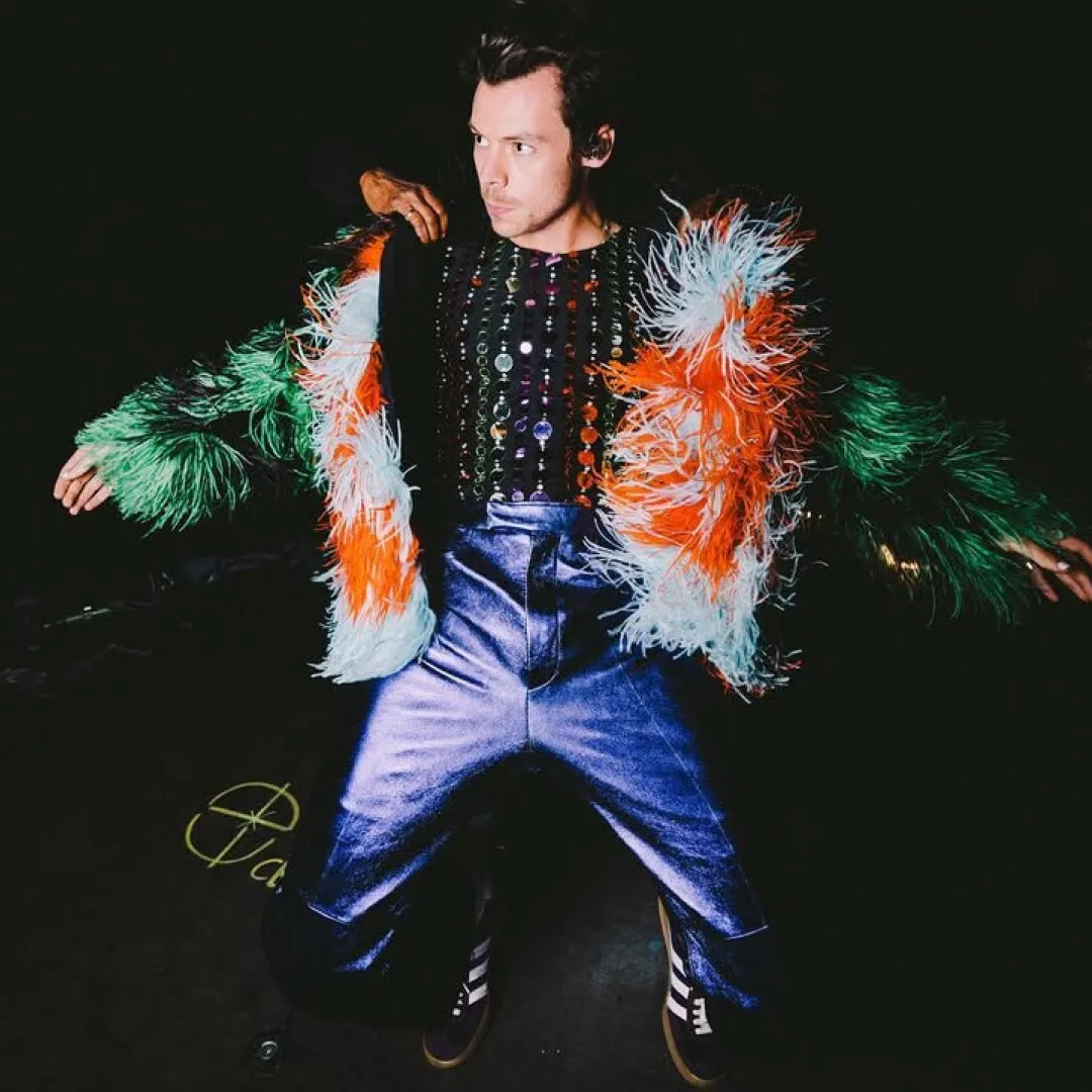 Harry Styles被爆與拍拖8個月女友訂婚？深情告白：「願為她跳崖！」女方戴巨鑽惹揣測 