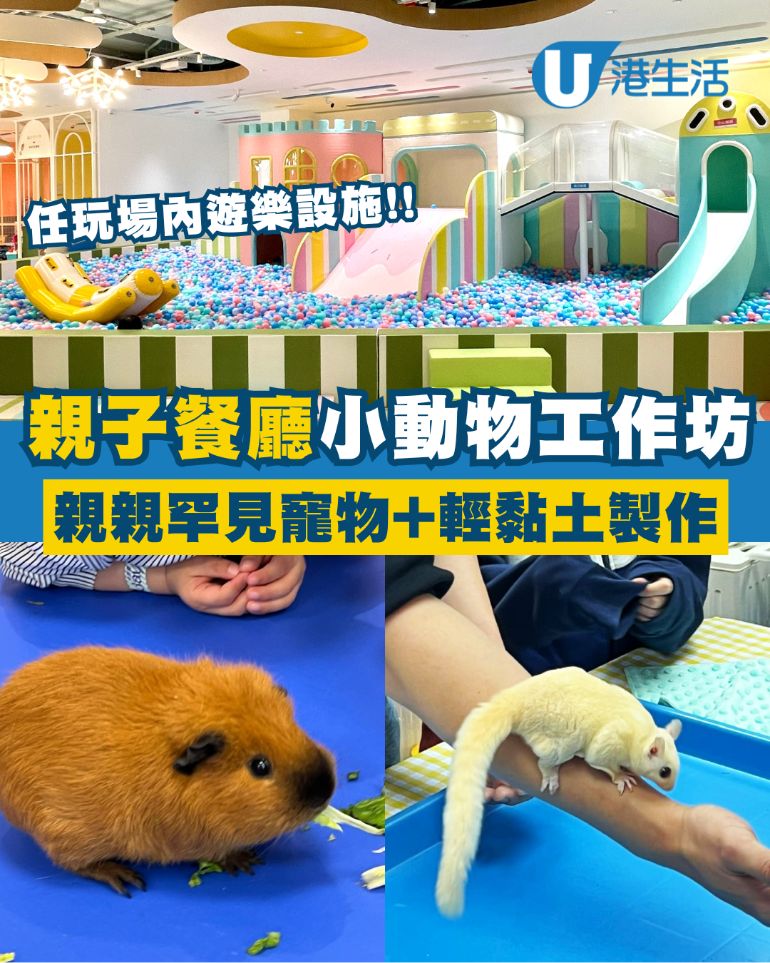 馬鞍山親子餐廳小動物體驗工作坊！帶領兒童親親罕見寵物+輕黏土製作！無限時任玩場內遊樂設施！