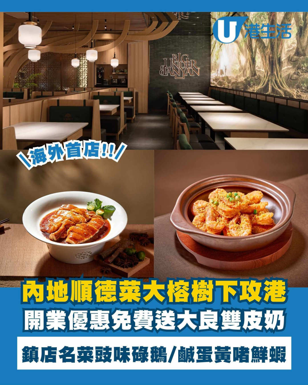 內地連鎖順德菜大榕樹下攻港開海外首店！鎮店名菜豉味碌鵝/免費大良雙皮奶
