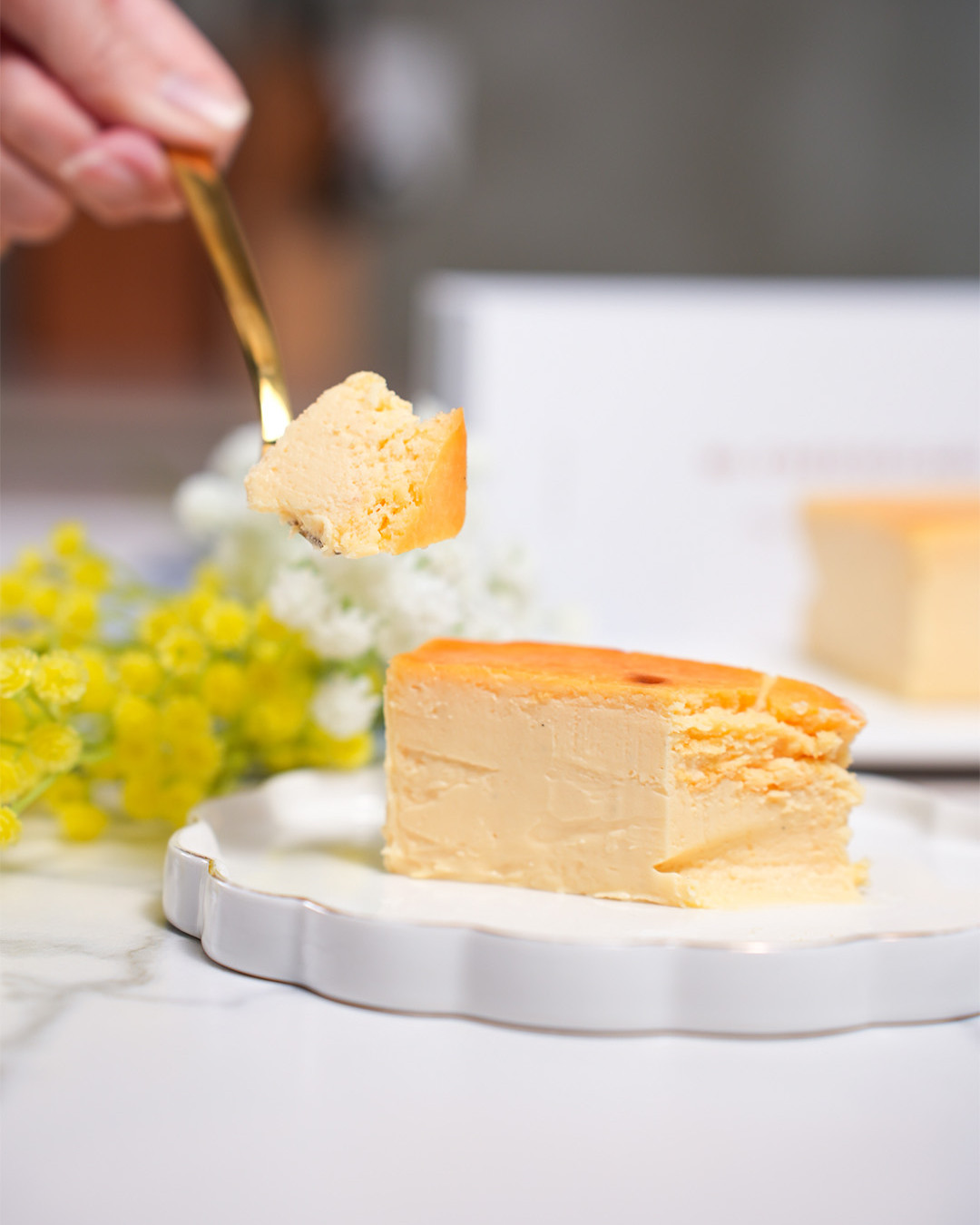 Mr. CHEESECAKE期間限定店登陸IFC！全新巴斯克芝士蛋糕登場