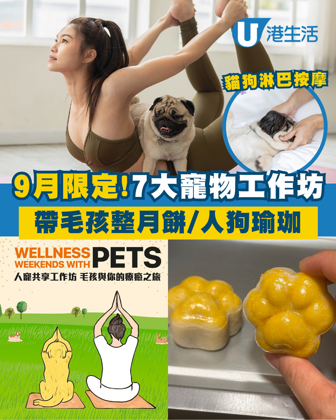西沙GO PARK全新7大寵物工作坊！帶毛孩整月餅/人狗瑜珈/自製放狗袋