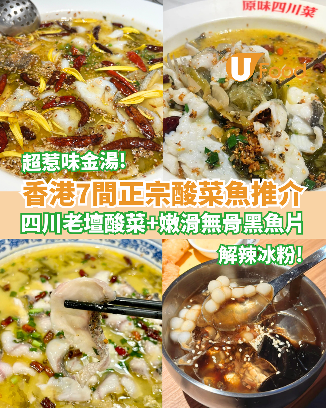 【香港酸菜魚推介】正宗酸菜魚7間必食推介 四川老壇酸菜＋嫩滑無骨黑魚片