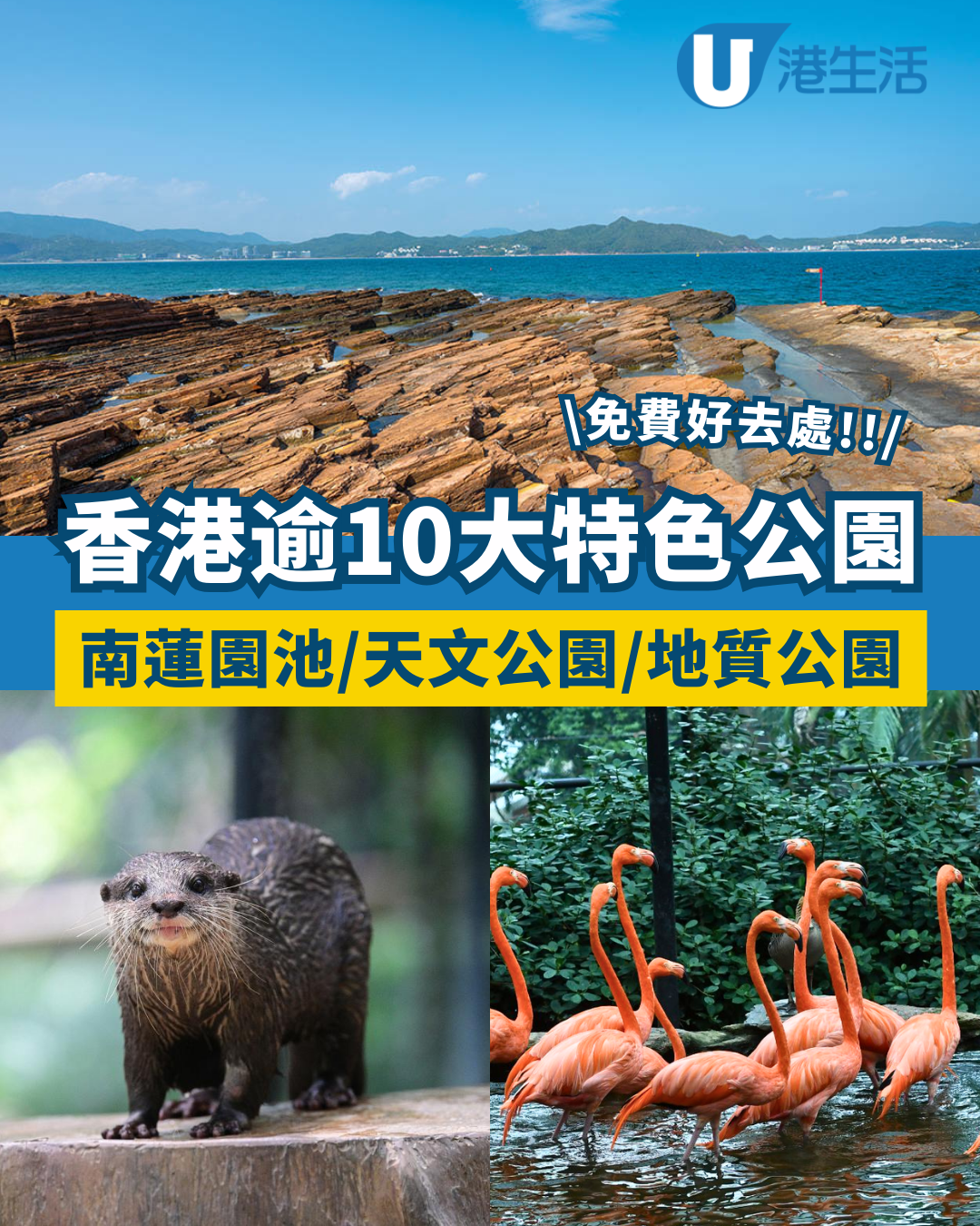香港特色公園逾10大好去處！南蓮園池/天文公園/地質公園 附地址/交通方式/開放時間