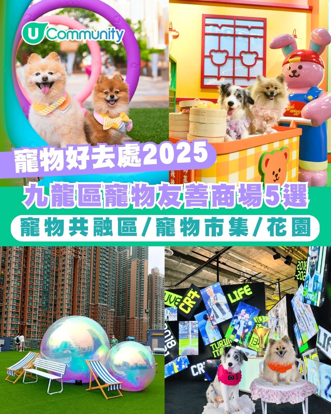 寵物好去處2025｜九龍區寵物友善商場5選 寵物共融區/寵物市集/花園