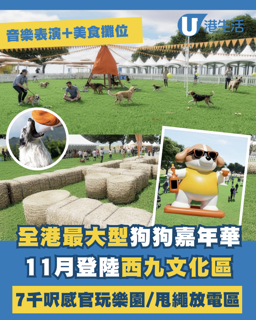 Doggo Fest 2025｜全港最大型狗狗嘉年華11月登陸西九！7千呎玩樂園/音樂表演/美食攤位