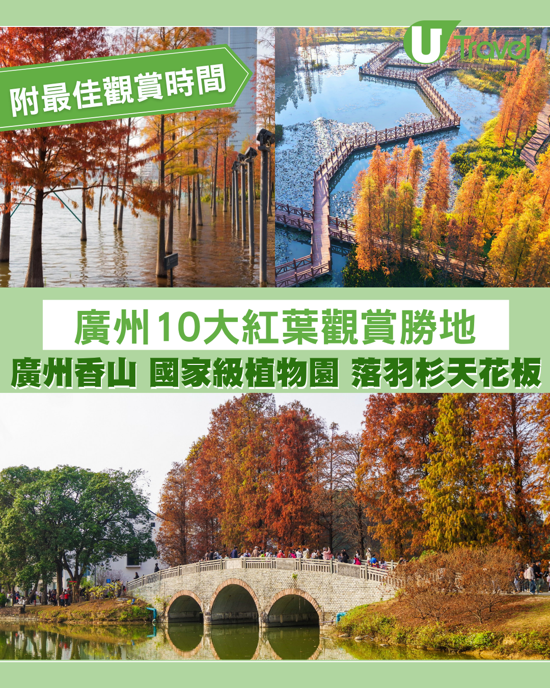 廣州紅葉2026｜落羽杉楓葉10大觀賞勝地！廣州香山國家級植物園附最佳觀賞期