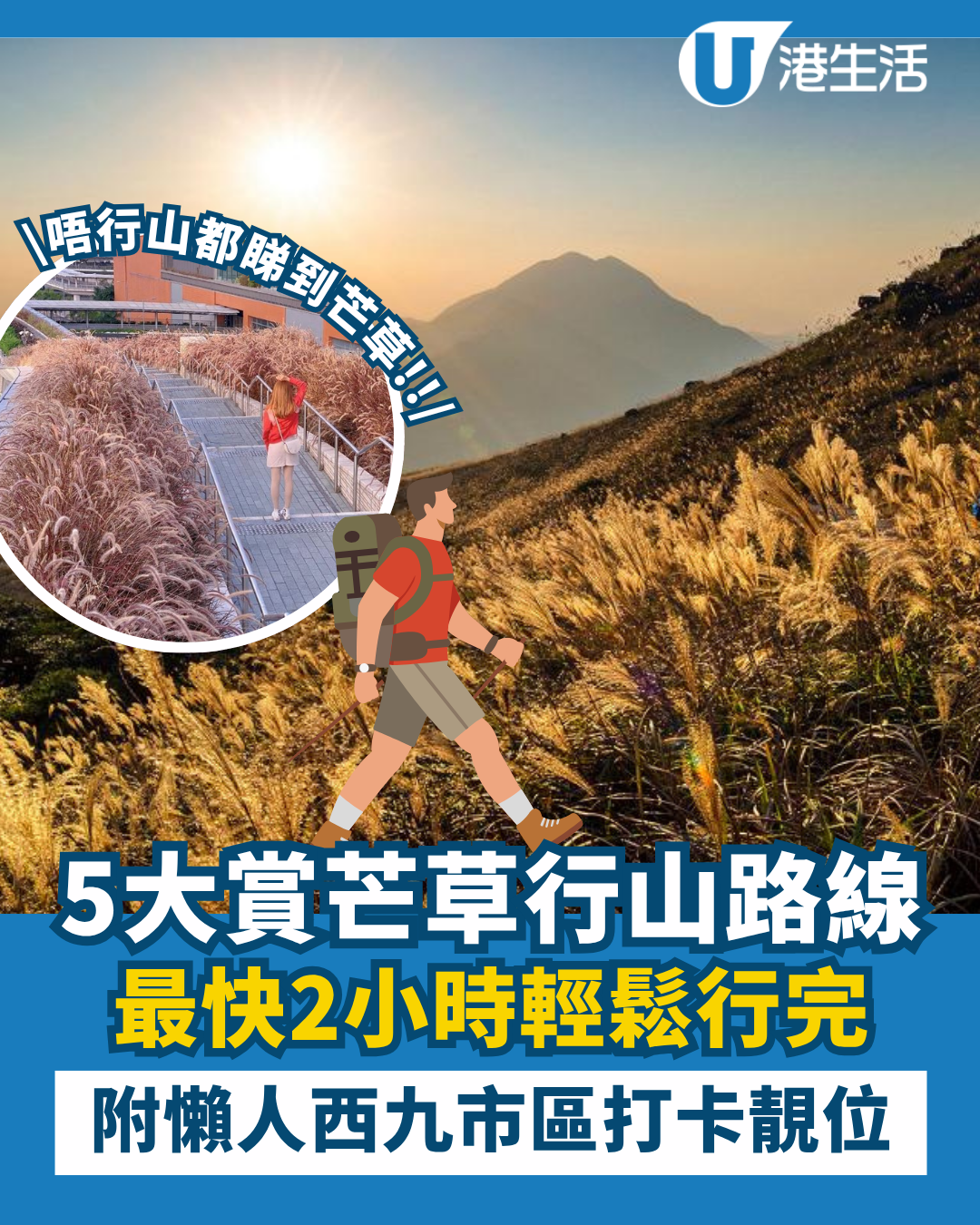 5大觀賞芒草簡單行山路線推介！市區芒草打卡位 大東山/昂平高原/大帽山/西九龍站
