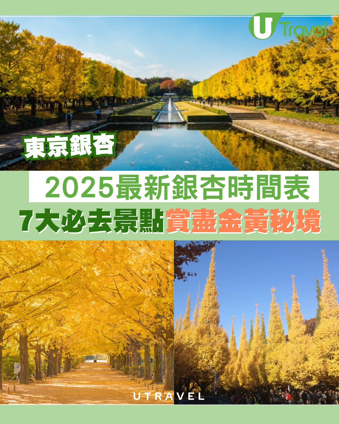 東京賞銀杏指南！2026最新銀杏時間表/見頃預測！7大必去景點、交通路線賞盡金黃秘境
