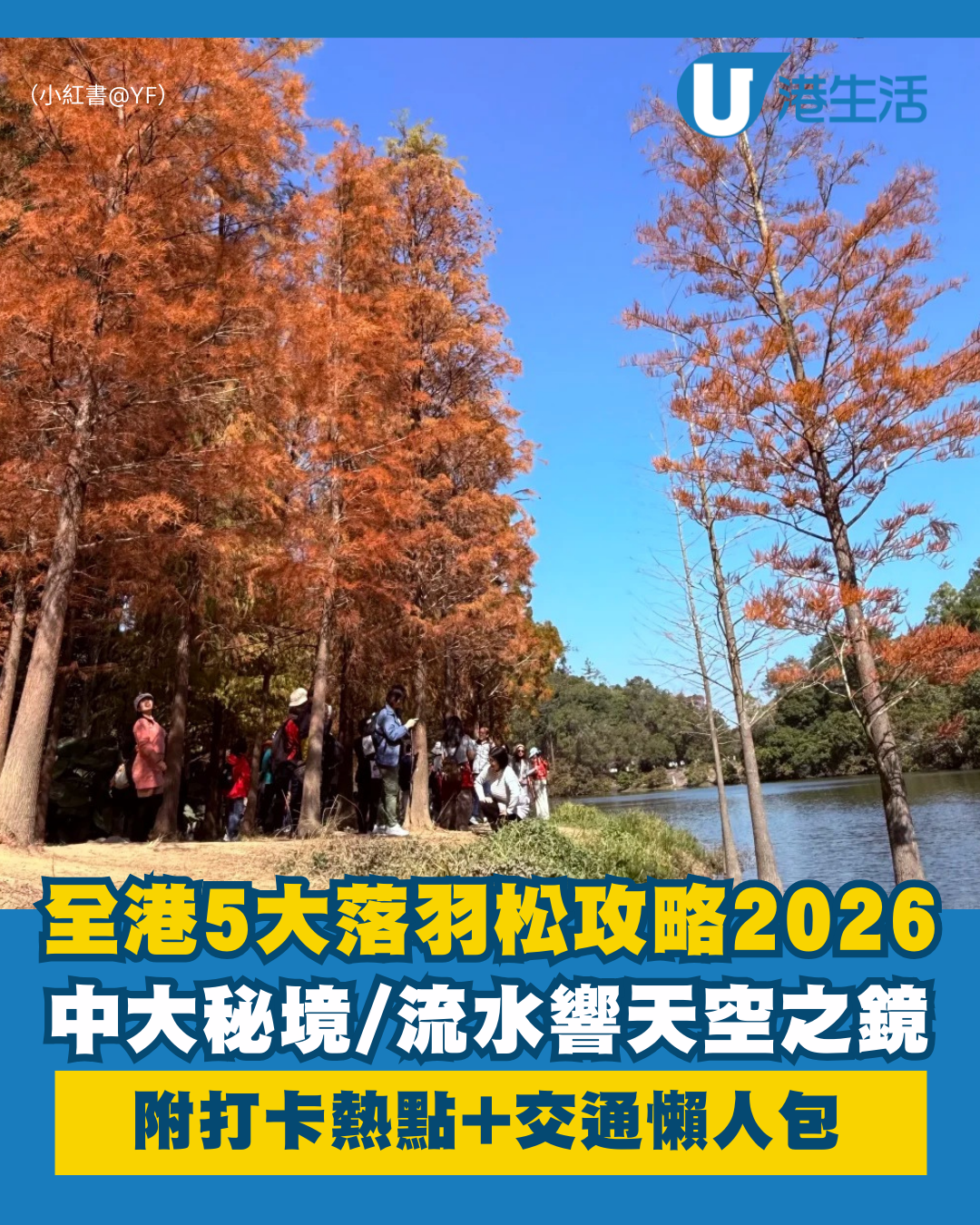 全港5大落羽松攻略2026！濕地公園排4小時？中大隱世秘境、流水響「天空之鏡」交通懶人包