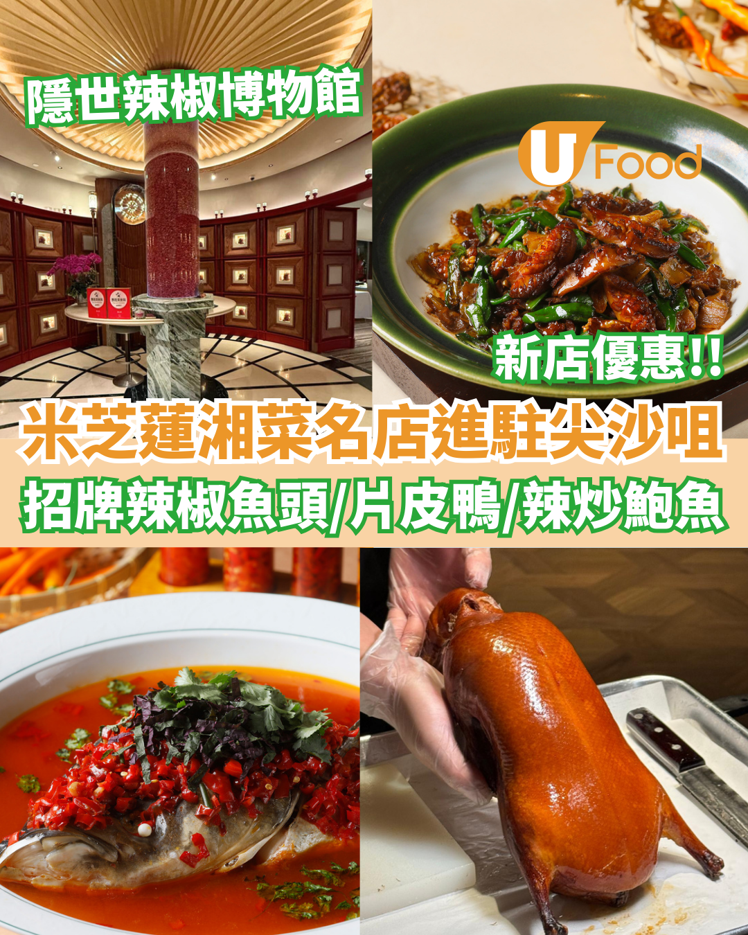 米芝蓮湘菜名店「湘上湘」進駐尖沙咀    招牌辣椒魚頭／片皮鴨／辣炒鮑魚