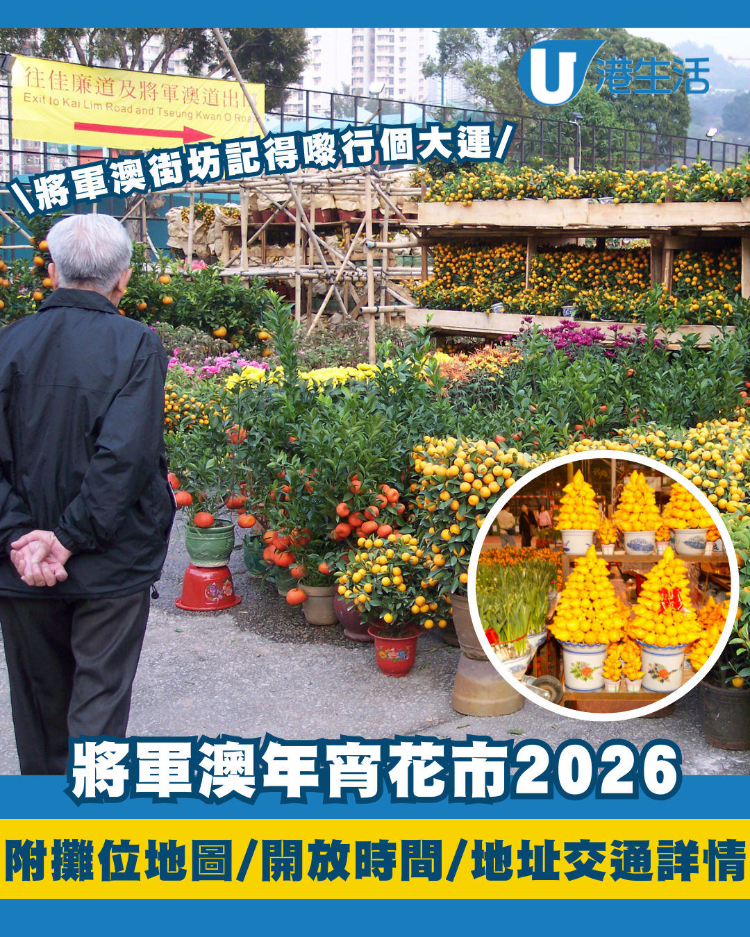 將軍澳年宵花市2026｜93個攤位地圖、開放時間、地址交通詳情