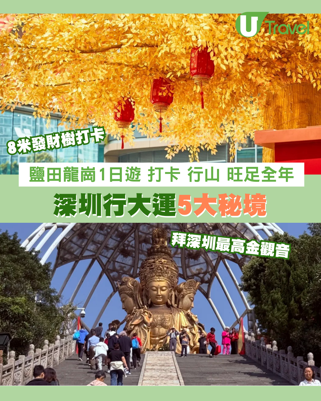 【深圳行大運5大秘境】鹽田龍崗1日遊︰8米發財樹打卡、拜金觀音深圳最高旺足全年