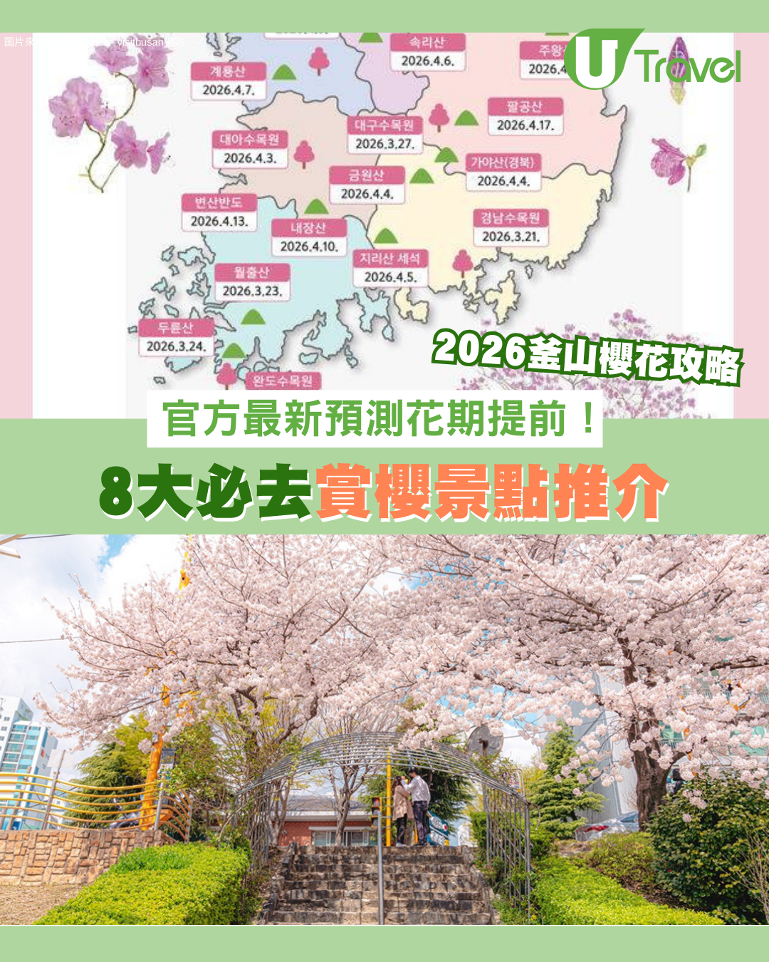 【2026釜山櫻花攻略】官方最新預測花期提前！8大賞櫻景點必去推介