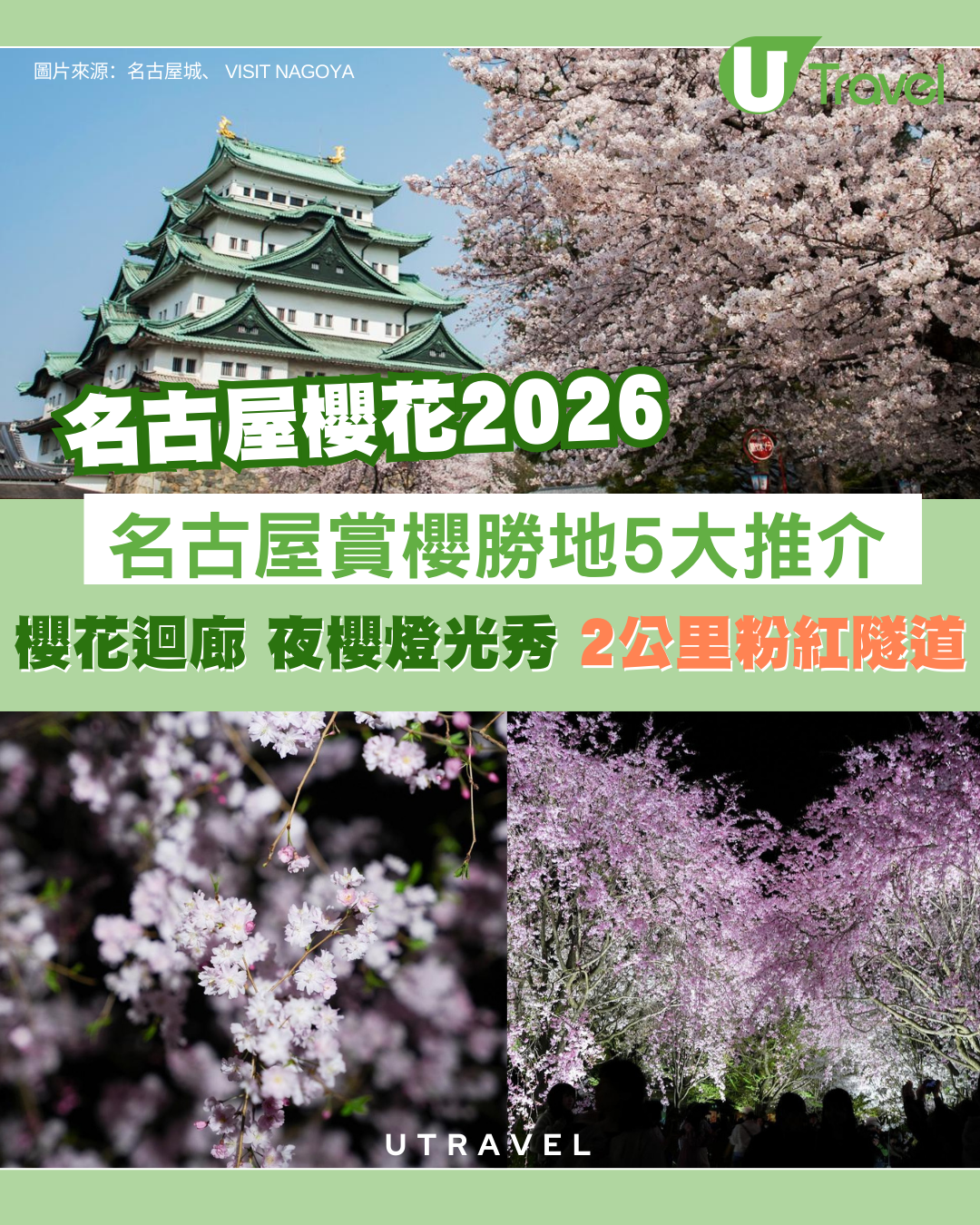 名古屋櫻花2026｜不輸東京京都！名古屋賞櫻勝地5大推介：櫻花迴廊、夜櫻燈光騷、2公里粉紅隧道