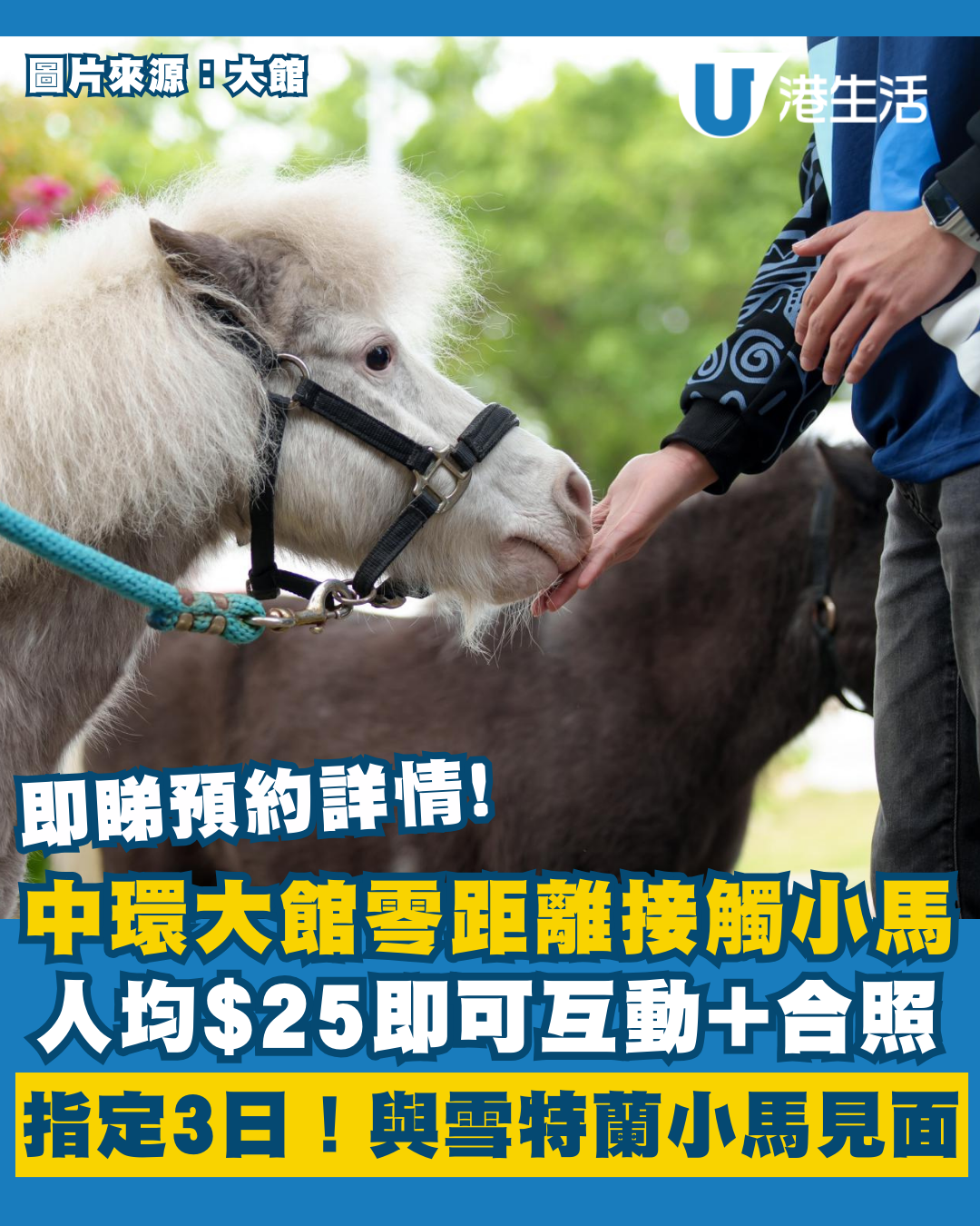 親子好去處｜中環大館近距離接觸小馬！指定3日 人均$25互動體驗+拍照！附報名及預約詳情