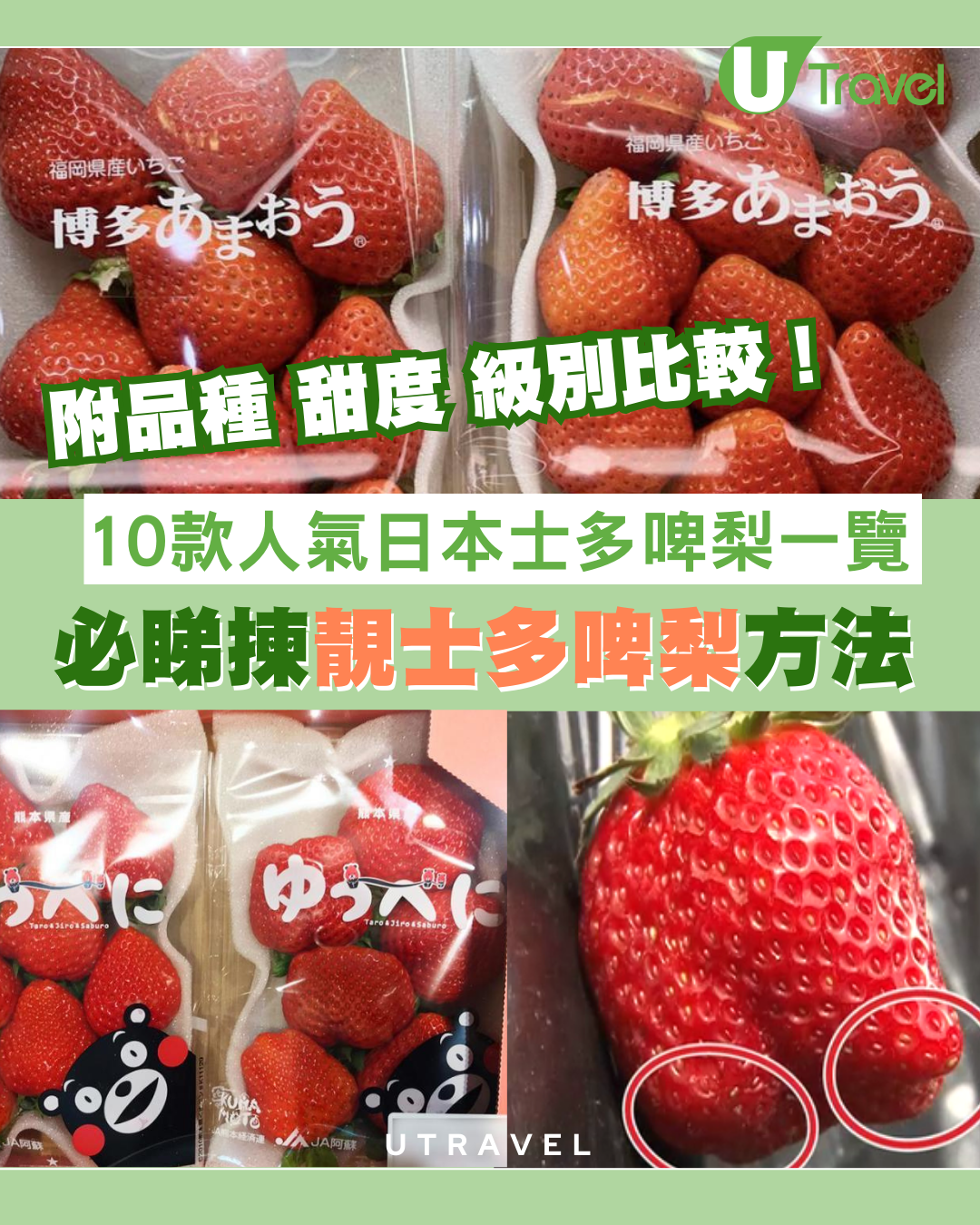 10款人氣日本士多啤梨品種、甜度、級別比較！必睇揀靚士多啤梨方法