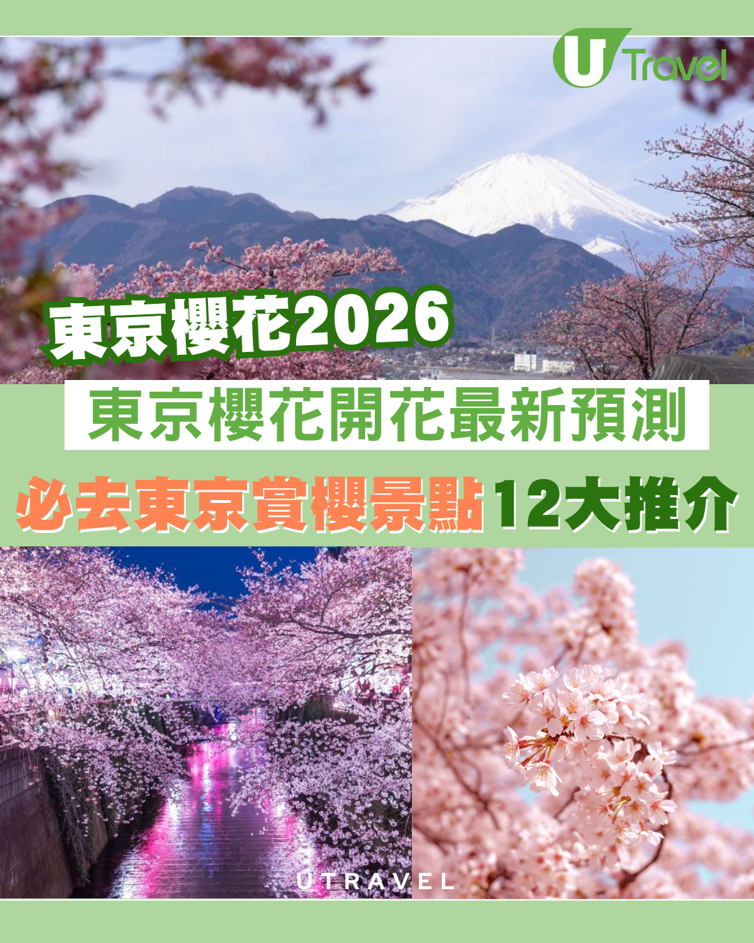 東京櫻花2026｜東京櫻花3月19日開花！東京賞櫻景點市區近郊12大必去推介