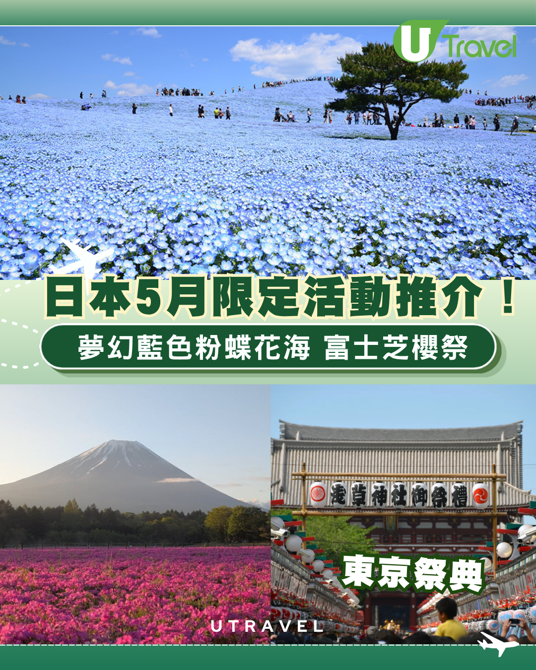日本5月限定活動推介！夢幻藍色粉蝶花海、富士芝櫻祭、東京祭典