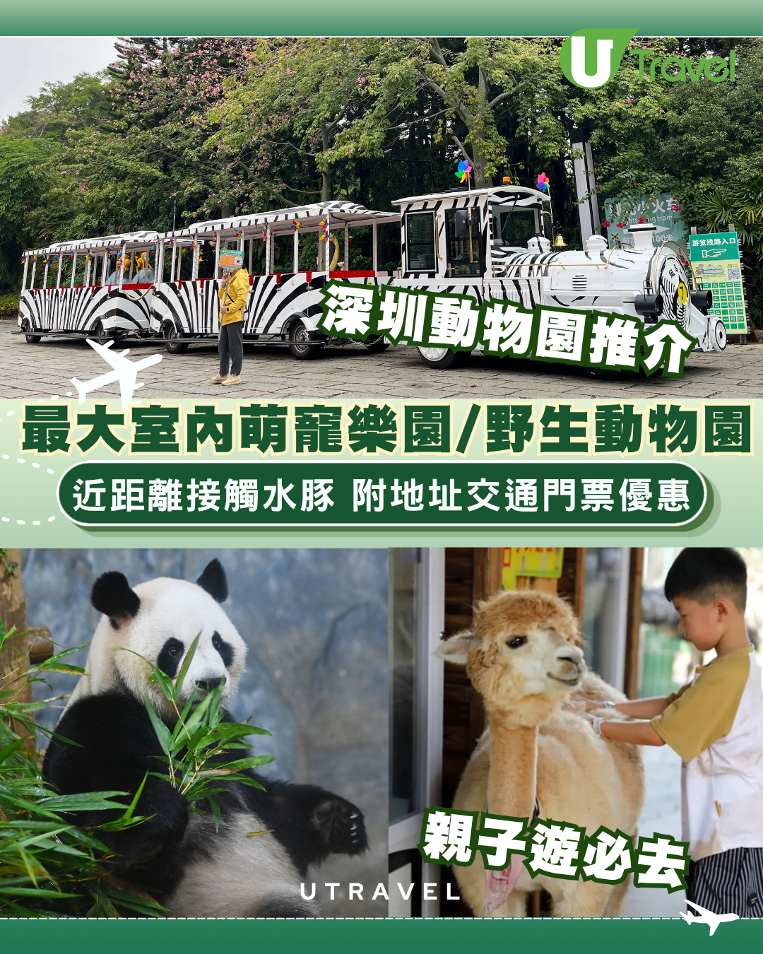 深圳動物園推介2026｜親子遊必去最大室內萌寵樂園/野生動物園！近距離接觸水豚 附地址交通門票優惠